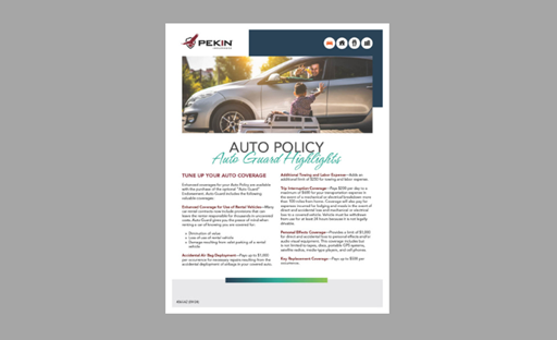 Auto Guard AZ Flyer