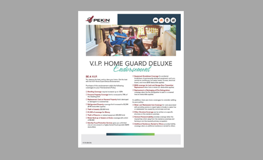 VIP Home Guard Flyer