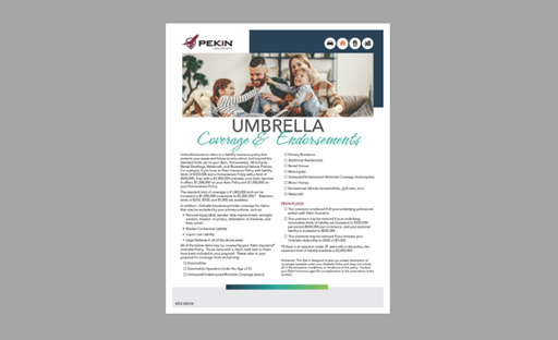 4052 Umbrella