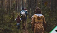 Family hiking in the woods