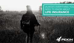 Life Insurance graphic